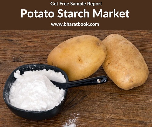 Global Potato Starch Market Research Report 2021-2025